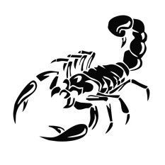 Cocotina Cool 3D Scorpion Car Exterior Decor Sticker Auto Styling Decal DIY 30cm – Black