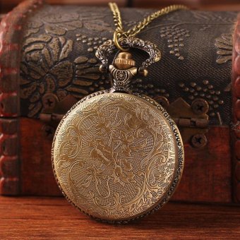 coobonf Best new year gift for ladies antique steampunk pocket watch bronze big glass butterfly with chain roman number retail dropship (as pic) - intl  