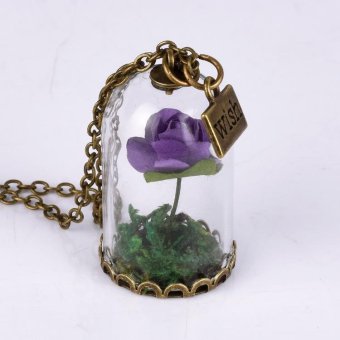 DIY Elegant Glass Cover Pendant Dried Flower Long Necklace Sweater Chain - intl  
