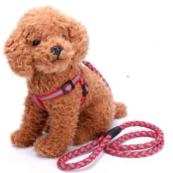 1.2*120CM Puppy Pet Dog Adjustable Safty Reflective Nylon Noctilucent Harness Leash(red) - intl