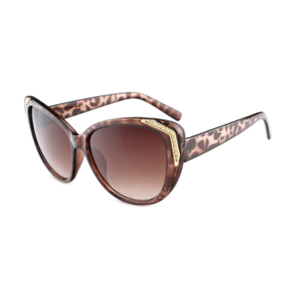 Men's Eyewear Sunglasses Men Cat Eye Sun Glasses Leopard Color Brand Design (Intl)