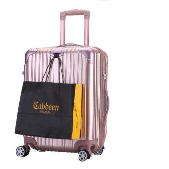 Travel With Us_Lanwain Travel Suitcase_Zipper_20 inch_Rose Gold