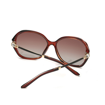 Sunglasses Polarized Men Mirror Butterfly Sun Glasses Brown Color Brand Design