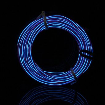 HKS 5M Flexible Neon Light Glow Strip Rope EL Wire 12V Inverter For Car Festival Etc (Blue) (Intl)
