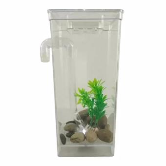 Mini Aquarium My Fun Fish TV New Products Goldfish Mini Tank Filter