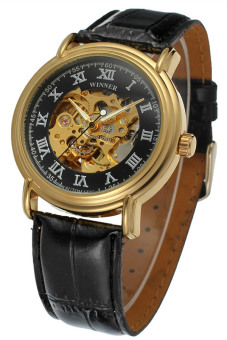 Winner Transparent Mechanical Watch WRG8075M3G2 (Gold)