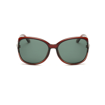Men Sunglasses Polarized Mirror Butterfly Sun Glasses Green/Brown Color Brand Design