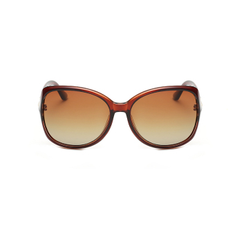 Men Sunglasses Polarized Mirror Butterfly Sun Glasses Brown Color Brand Design