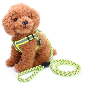 1.5*120CM Puppy Pet Dog Adjustable Safty Reflective Nylon Noctilucent Harness Leash(green) - intl
