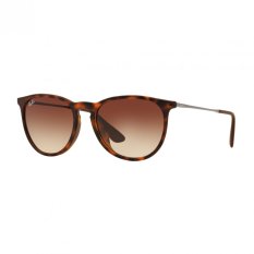 Ray-Ban Sunglasses Erika (F) RB4171F - Avana Gommato (865/13) Size 54 Brown Gradient