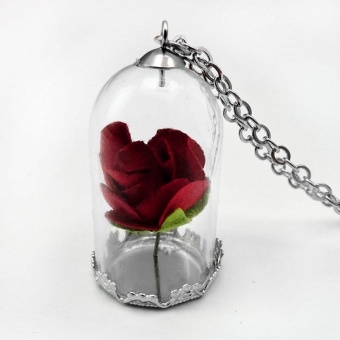 Retro Crystal Glass Vial Bottle Natural Dried Flowers Pendant Necklace - intl  