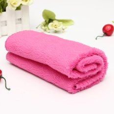 Audew Warm Pet Dog Puppy Cat Mat Soft Fleece Blanket Quilt Bed Cushion Pad Cozy Cover - INTL