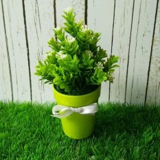 aquascape tanaman plastik www titasik comwww titasik aquascape tanaman plastik www titasik comwww titasik