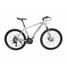 Exotic MTB Exotic 100 26" - Putih