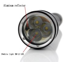 Genwiss Diving 5500 lumens CREE XM-L2 LED 3*L2 LED Flashlight Torch Waterproof underwear Lamp Light super T6 white light for Camping Biking Hunting (include 2 x 5000mAh 18650 Battery and Charger)