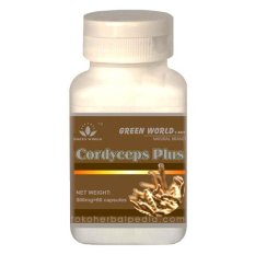 Green World Cordyceps Plus Capsule