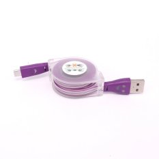 Micro USB Cable High Speed USB 2.0A Male to Micro B for Android, Samsung, HTC, Motorola, Sprint, Nokia, LG, HP, Sony, Blackberry and many more (Purple) - Intl
