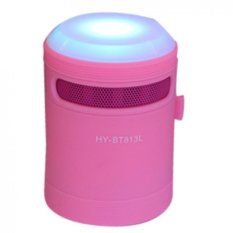Mini Portable Wireless Bluetooth Speaker Amplifier Lights BT813L Pink - Intl