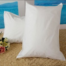 New 100% Natural Polyester Charmeuse Silk Home Lodge Hotel Pillow Case Ivory
