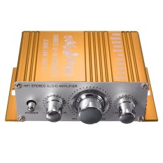 Newest Mini 2CH Hi Fi Amplifier AMP Radio MP3 Stereo For Car Motorcycle Boat 12V Yellow