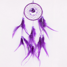 niceEshop Dream Catcher Dreamcatcher Feathers with a Small Bell Wall Hanging Decor,Purple