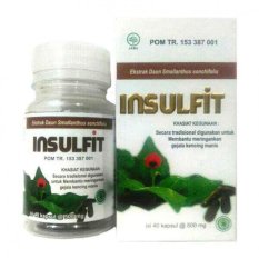 Obat Herbal Diabetes Insulfit