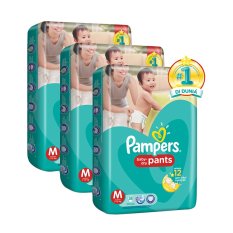 Pampers Popok Baby Dry Pants M-58 - Karton isi 3