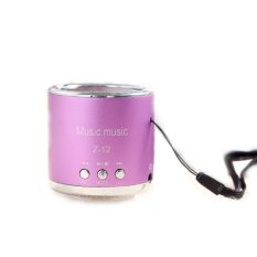 Portable Speaker Insert Card Speaker Support MicroSD Card, USB Flash Disk, FM Radio - Z-12 - Purple