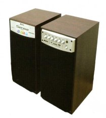 Salsa Speaker Aktif 6 inch USB Radio FM SENSA-1