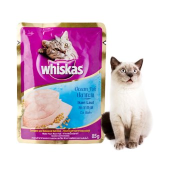 whiskas pouch fish 85gr lazada indonesia whiskas pouch fish 85gr lazada indonesia