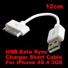 White Short USB Data Sync Charger Cable for Apple iPhone 3Gs 4 4S Series 12cm (Intl)