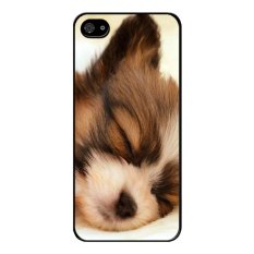 Y&M iPhone 5/5S Sleepy Puppy Dog Phone Case (Multicolor)