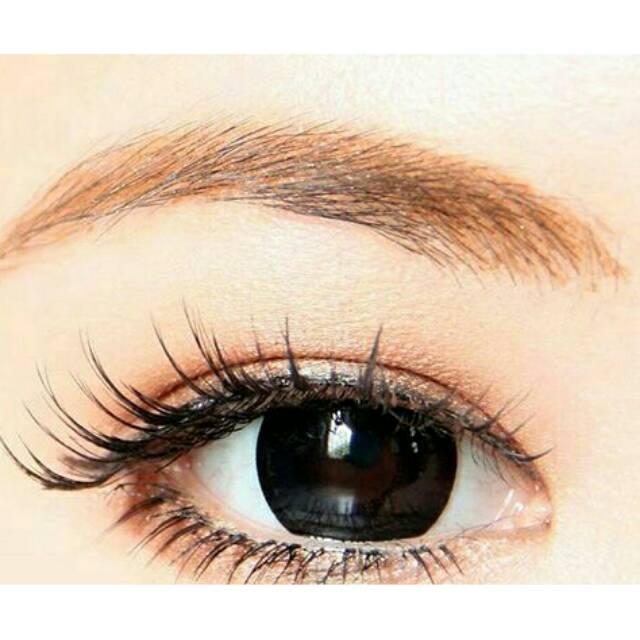 Softlens Big Eyes LC Mistique