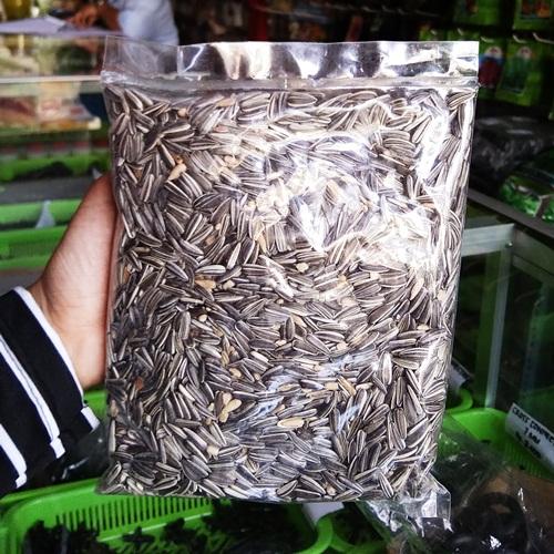 Bibit Bunga Benih Bunga Matahari Kuning Lokal – 250 gram