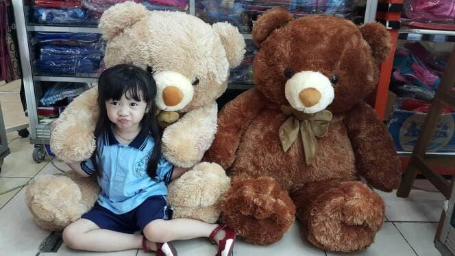 boneka teddy bear besar /jumbo pita