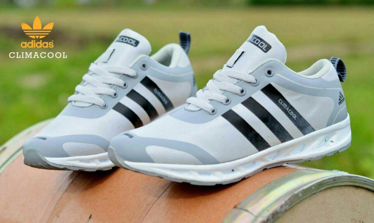 Promo Sepatu Casual Pria Adidas Royal Sued Mercy (Sepatu Olahraga, Sepatu Kerja, Sepatu Jalan, Sepatu Santai, Sepatu Sekolah, Sepatu Joging, Lapangan, Sepatu Kulit, Sneaker, Slip On, Slop, Adidas, Nike, Pria, Wanita, Anak)