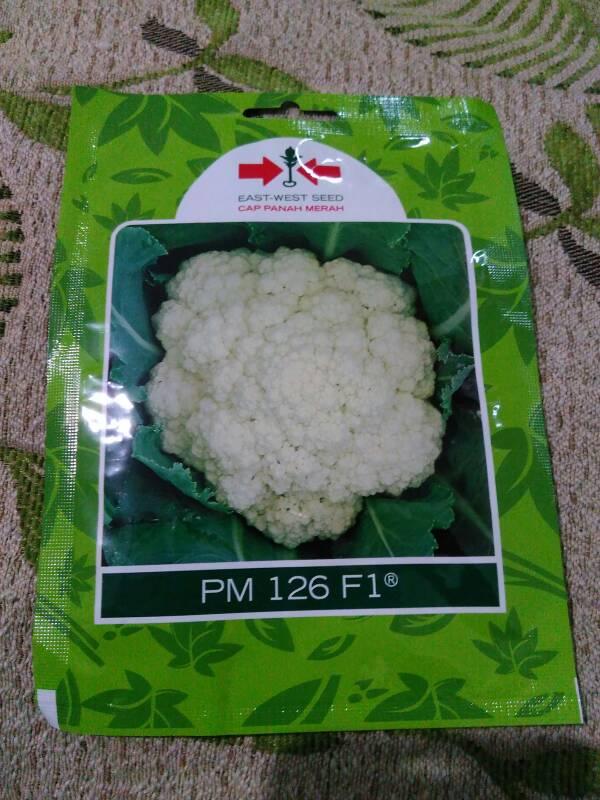 SPESIAL 250Btr Benih Kembang Bunga Kol PM 126 F1 Panah Merah- Origin