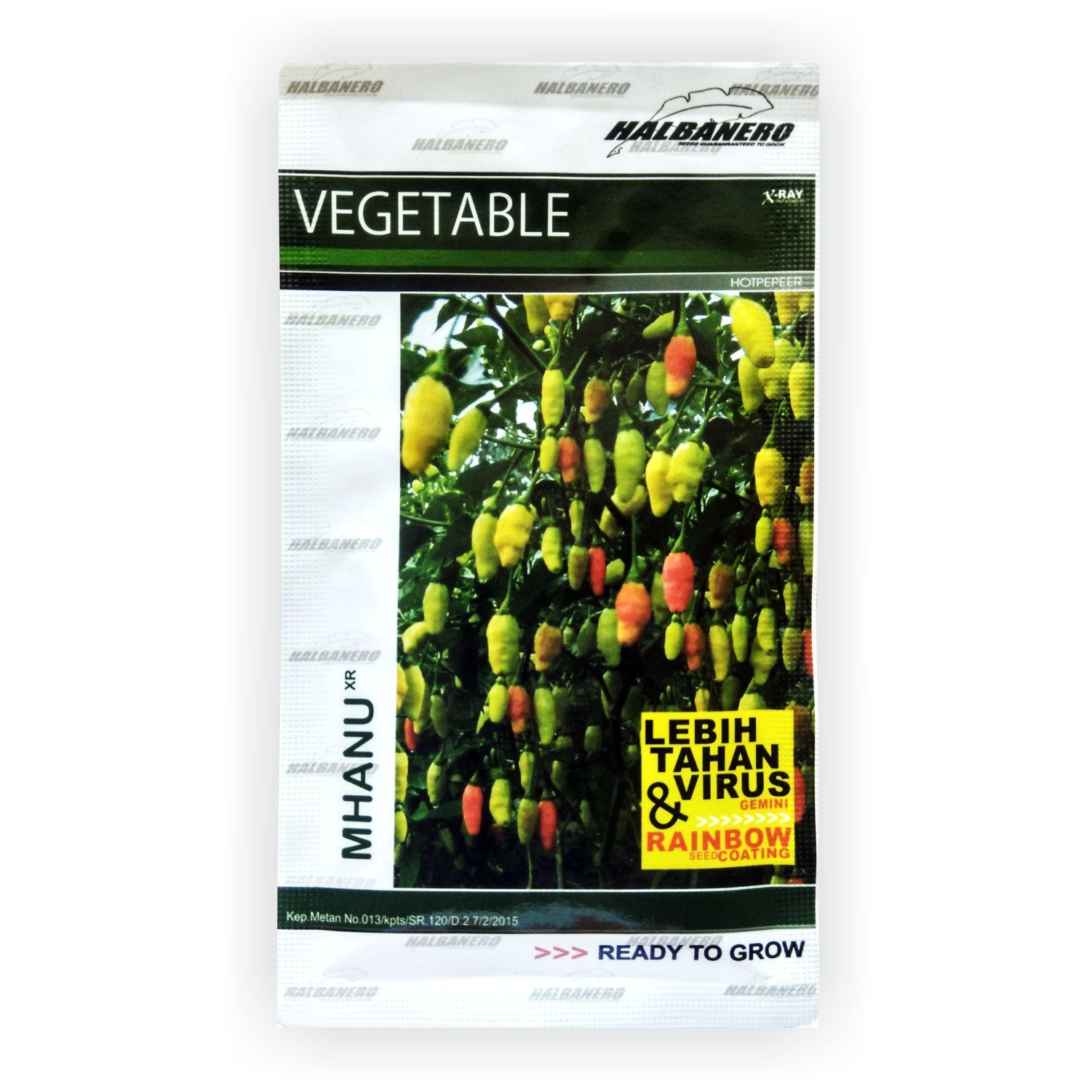 Benih Bibit Cabe Cabai Rawit Varietas Mhanu Prayit MHANU F1 - 10 Gram