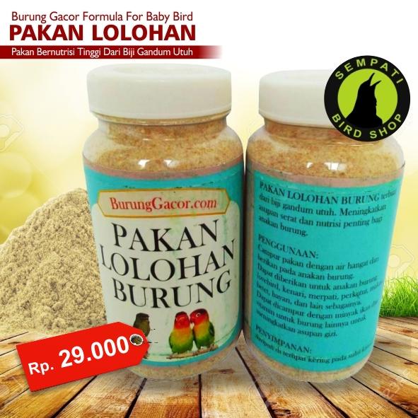 Biji gandum burung gacor Pakan bubur anakan piyek burung lovebird kenari merpati lolohan spet