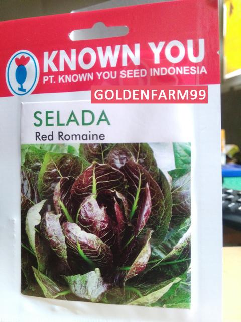 Benih bibit selada red romaine harga murah original packing