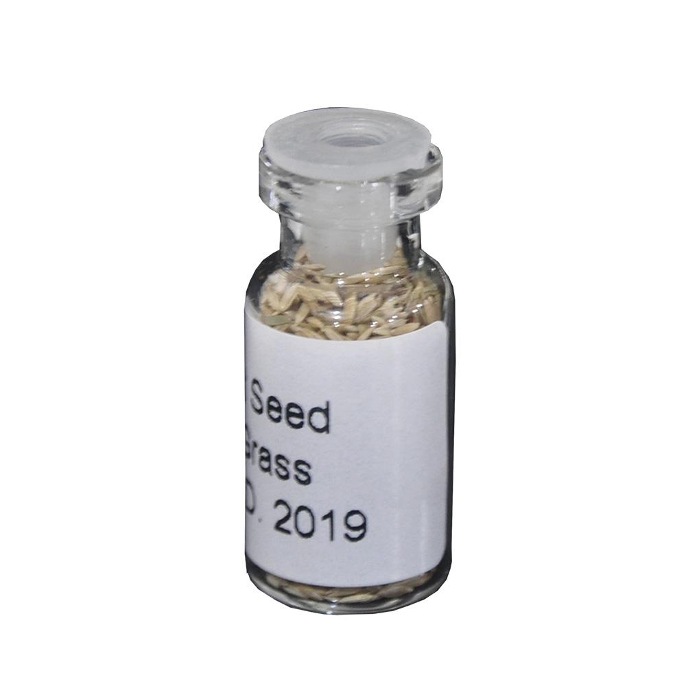 Jirifarm Bibit Mini Hair Grass Seed Utk Dasar Akuarium Aquascape Kemasan 3 ml