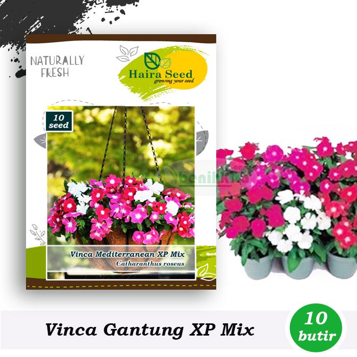 Benih-Bibit Bunga Vinca Gantung/Trailing XP Mix (Haira Seed)