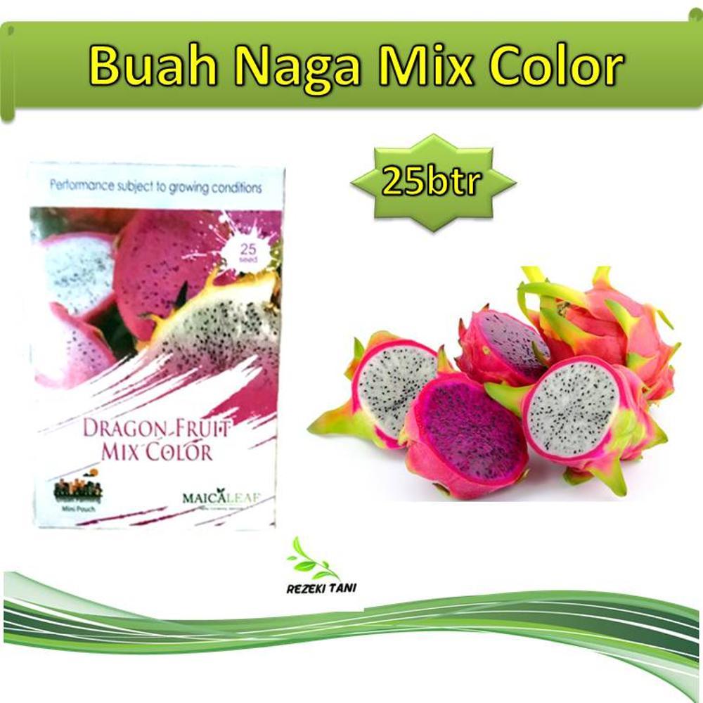 Benih Bibit Buah Naga Dragon Fruit Mix Color 25 Butir