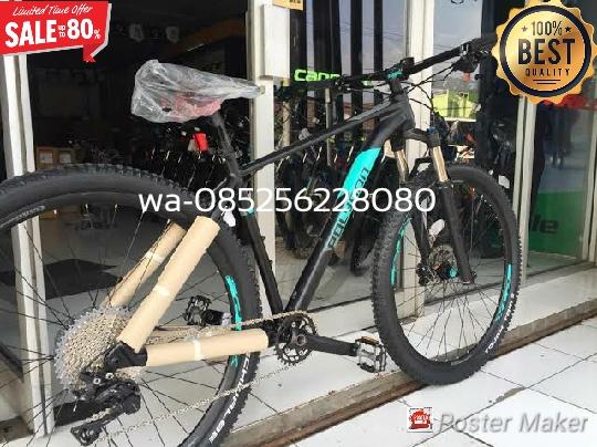 Sepeda gunung polygon xtrada 8