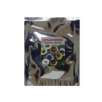 Bibit Bunga Benih Chrysanthemum Rainbow Mix 10 Biji – Kemasan Foil