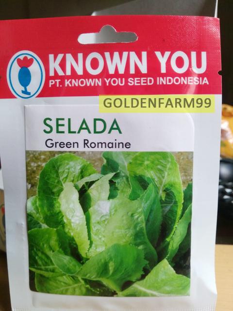 Benih bibit SELADA GREEN ROMAINE Original packing harga murah