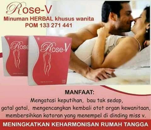 Rose V Original / Agen Nasa Bekasi