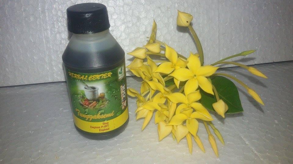 Minyak Cengkih Cengkeh Kemasan 50ml Premium