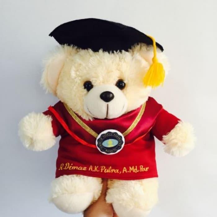 Boneka Wisuda Puffy Bear 30cm (bordir nama)