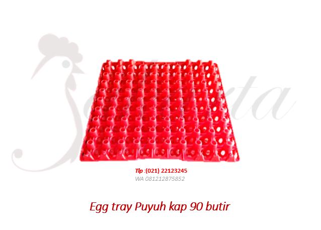 egg tray puyuh rak telur plastik puyuh